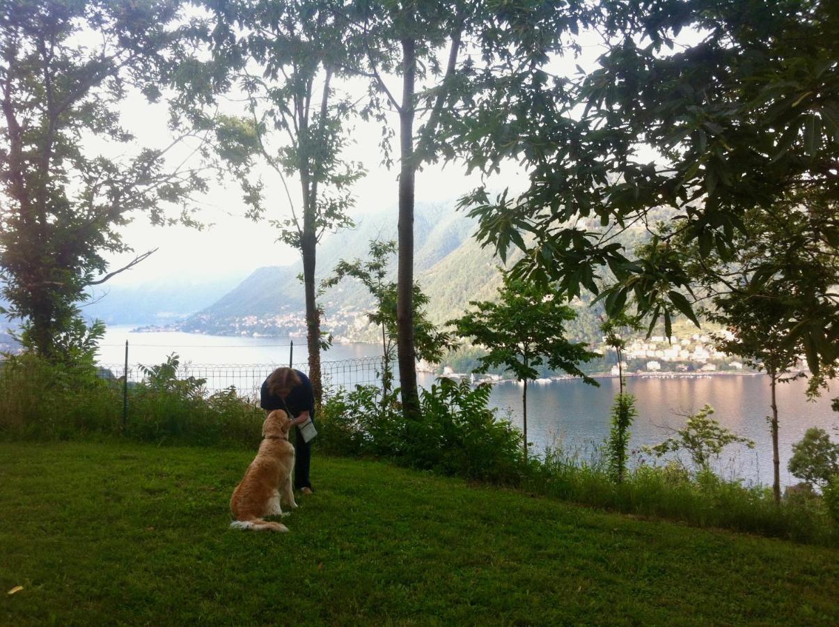 Villa Corti Lakeview Como Exterior photo
