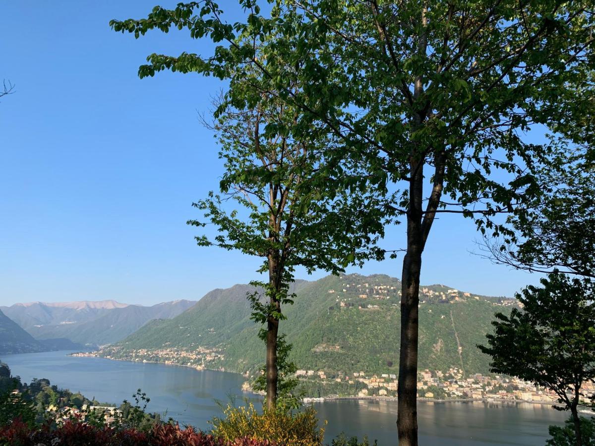 Villa Corti Lakeview Como Exterior photo